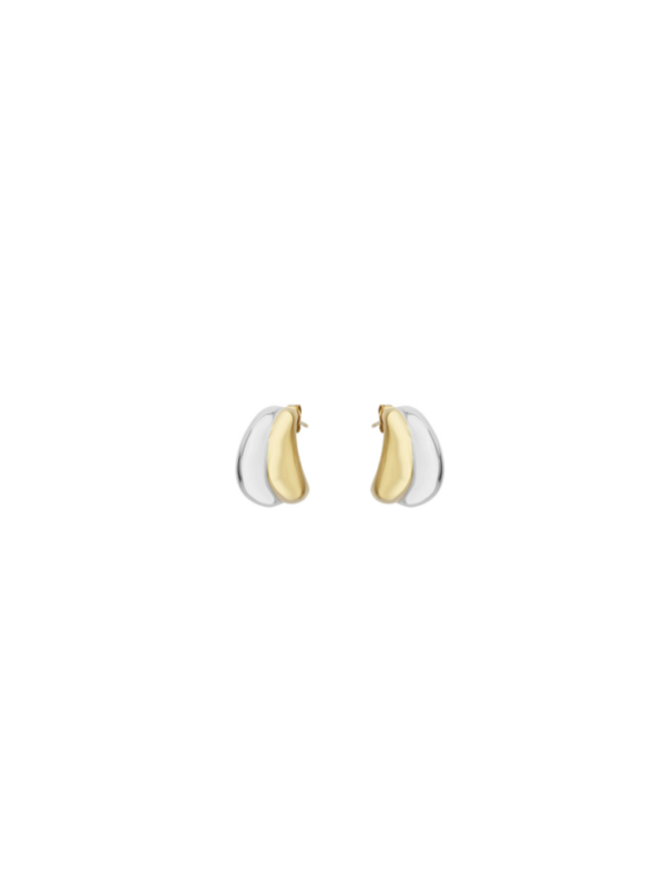 Oorbellen zilver - goud